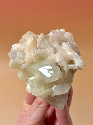 GREEN STARSEER APOPHYLLITE CLUSTER (3) Cluster The Crystal Avenues 