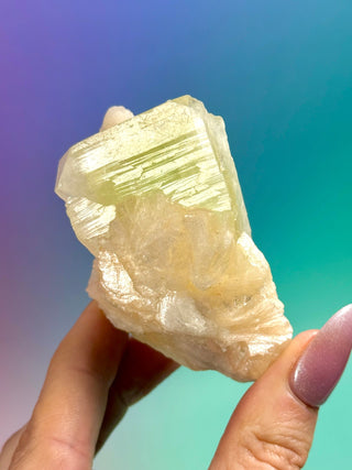 GREEN STARSEER APOPHYLLITE CLUSTER (3) Cluster The Crystal Avenues 