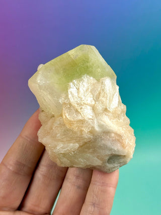 GREEN STARSEER APOPHYLLITE CLUSTER (3) Cluster The Crystal Avenues 