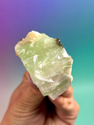 GREEN STARSEER APOPHYLLITE CLUSTER (5) Cluster The Crystal Avenues 