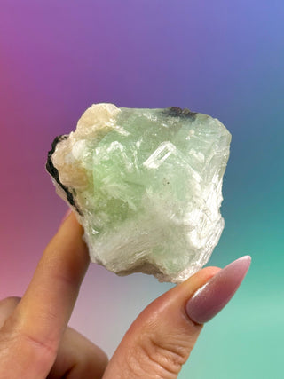 GREEN STARSEER APOPHYLLITE CLUSTER (5) Cluster The Crystal Avenues 