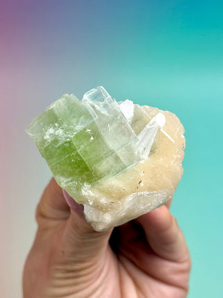 GREEN STARSEER APOPHYLLITE CLUSTER (6) Cluster The Crystal Avenues 