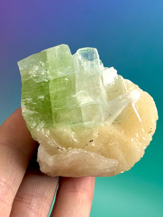 GREEN STARSEER APOPHYLLITE CLUSTER (6) Cluster The Crystal Avenues 