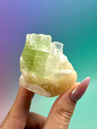 GREEN STARSEER APOPHYLLITE CLUSTER (6) Cluster The Crystal Avenues 