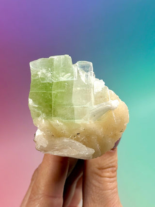 GREEN STARSEER APOPHYLLITE CLUSTER (6) Cluster The Crystal Avenues 