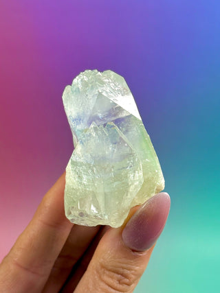 GREEN STARSEER APOPHYLLITE CLUSTER (7) Cluster The Crystal Avenues 