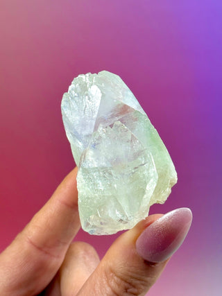 GREEN STARSEER APOPHYLLITE CLUSTER (7) Cluster The Crystal Avenues 