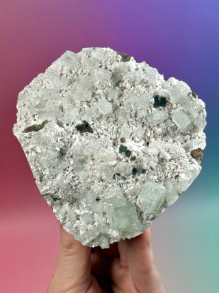 GREEN STARSEER APOPHYLLITE CLUSTER (M) Cluster The Crystal Avenues 
