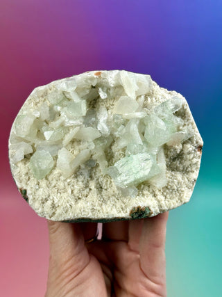 GREEN STARSEER APOPHYLLITE CLUSTER (N) Cluster The Crystal Avenues 