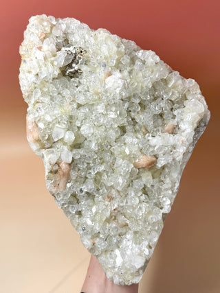 GREEN STARSEER APOPHYLLITE CLUSTER - XL Cluster The Crystal Avenues 