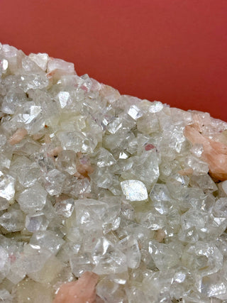 GREEN STARSEER APOPHYLLITE CLUSTER - XL Cluster The Crystal Avenues 