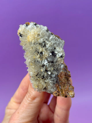 HEMIMORPHITE - DURANGO, MEXICO (5) Raw Crystal The Crystal Avenues 