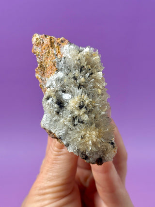 HEMIMORPHITE - DURANGO, MEXICO (5) Raw Crystal The Crystal Avenues 