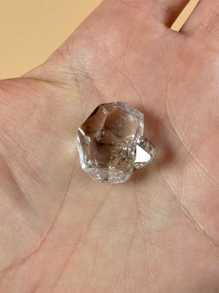 HERKIMER DIAMOND QUARTZ - NEW YORK (1) Cluster The Crystal Avenues 