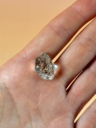HERKIMER DIAMOND QUARTZ - NEW YORK (12) Cluster The Crystal Avenues 