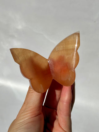 HONEY CALCITE BUTTERFLY (1) The Crystal Avenues 