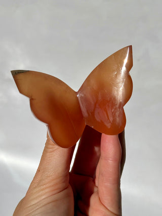 HONEY CALCITE BUTTERFLY (2) The Crystal Avenues 
