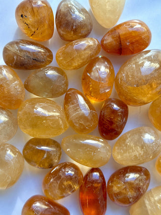 HONEY OPTICAL CALCITE TUMBLE STONE Tumble Stone The Crystal Avenues 