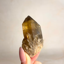 Load image into Gallery viewer, KUNDALINI CITRINE (7) The Crystal Avenues 
