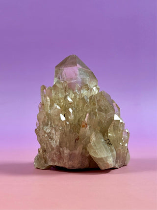 KUNDALINI CITRINE - A QUALITY (1) The Crystal Avenues 