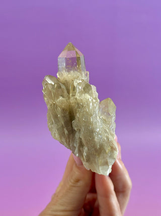 KUNDALINI CITRINE - A QUALITY (10) The Crystal Avenues 