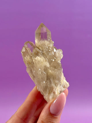KUNDALINI CITRINE - A QUALITY (10) The Crystal Avenues 