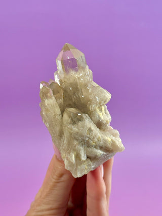 KUNDALINI CITRINE - A QUALITY (10) The Crystal Avenues 