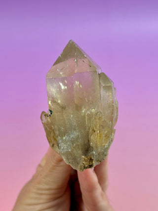 KUNDALINI CITRINE - A QUALITY (11) The Crystal Avenues 