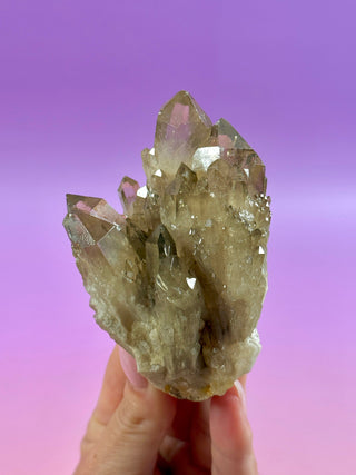 KUNDALINI CITRINE - A QUALITY (12) The Crystal Avenues 