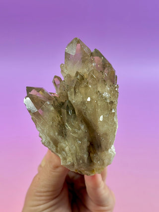 KUNDALINI CITRINE - A QUALITY (12) The Crystal Avenues 