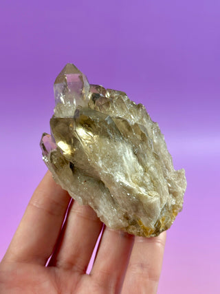 KUNDALINI CITRINE - A QUALITY (12) The Crystal Avenues 