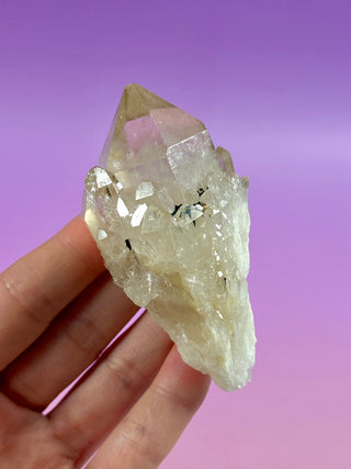 KUNDALINI CITRINE - A QUALITY (14) The Crystal Avenues 