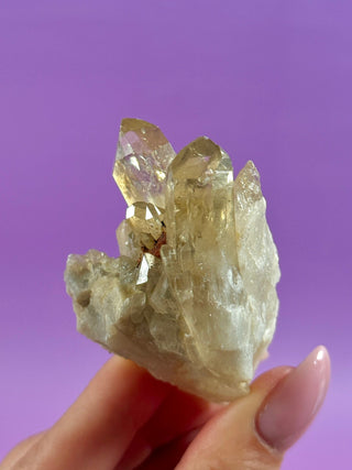 KUNDALINI CITRINE - A QUALITY (16) The Crystal Avenues 