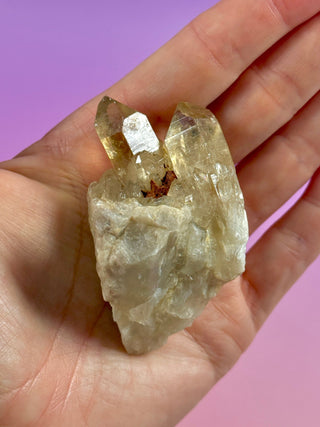 KUNDALINI CITRINE - A QUALITY (16) The Crystal Avenues 