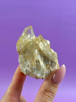 KUNDALINI CITRINE - A QUALITY (18) The Crystal Avenues 