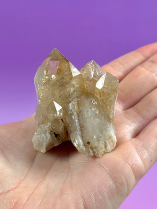 KUNDALINI CITRINE - A QUALITY (19) The Crystal Avenues 