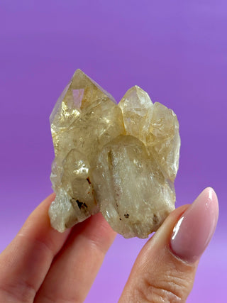 KUNDALINI CITRINE - A QUALITY (19) The Crystal Avenues 