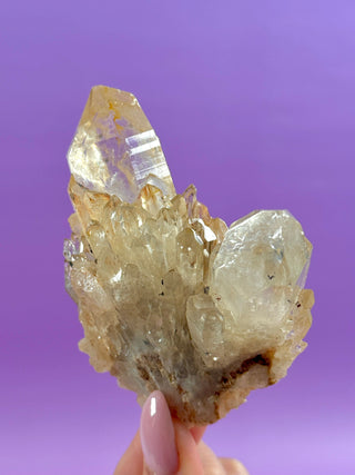 KUNDALINI CITRINE - A QUALITY (2) The Crystal Avenues 