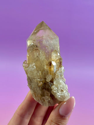 KUNDALINI CITRINE - A QUALITY (3) The Crystal Avenues 