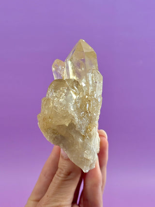 KUNDALINI CITRINE - A QUALITY (4) The Crystal Avenues 