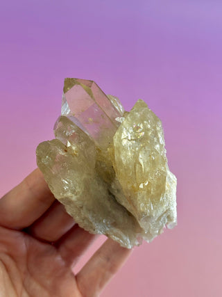 KUNDALINI CITRINE - A QUALITY (4) The Crystal Avenues 