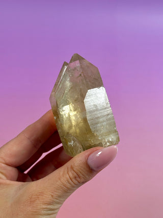 KUNDALINI CITRINE - A QUALITY (5) The Crystal Avenues 