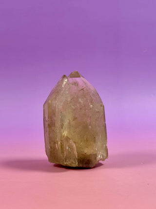 KUNDALINI CITRINE - A QUALITY (5) The Crystal Avenues 