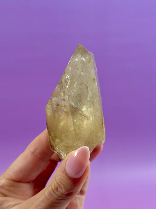 KUNDALINI CITRINE - A QUALITY (5) The Crystal Avenues 