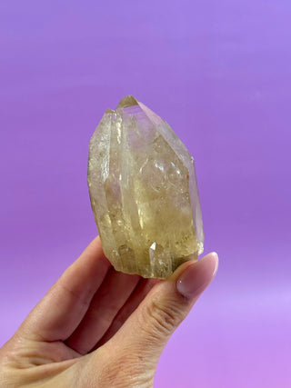 KUNDALINI CITRINE - A QUALITY (5) The Crystal Avenues 