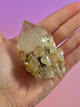 KUNDALINI CITRINE - A QUALITY (6) The Crystal Avenues 