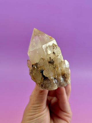 KUNDALINI CITRINE - A QUALITY (6) The Crystal Avenues 