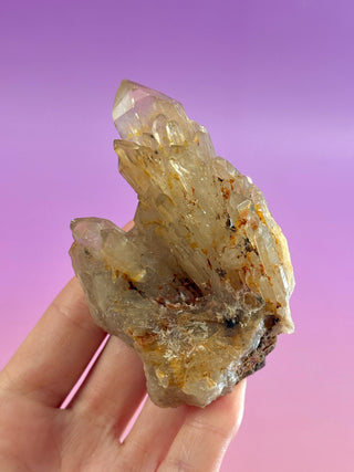 KUNDALINI CITRINE - A QUALITY (7) The Crystal Avenues 