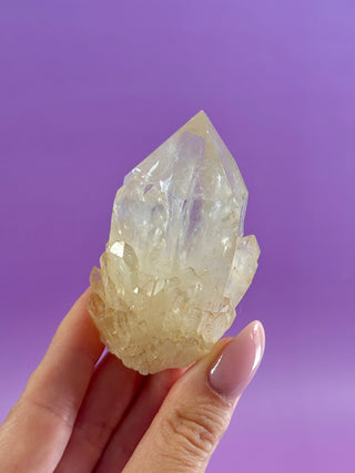 KUNDALINI CITRINE - A QUALITY (8) The Crystal Avenues 