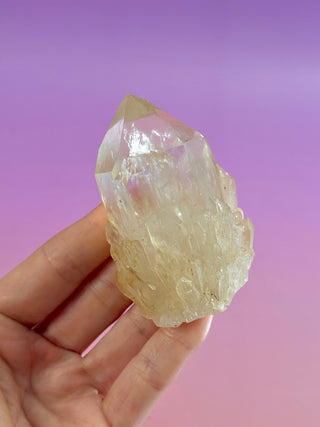 KUNDALINI CITRINE - A QUALITY (8) The Crystal Avenues 